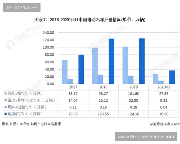 金濠国际网：全面解析其发展历程与未来趋势