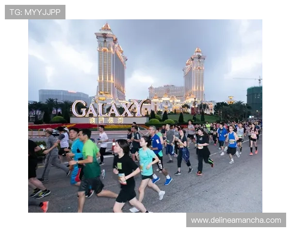 澳门娱乐城备用网址的安全措施分析，保障玩家在澳门娱乐平台上的资金与个人信息安全